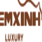 demxinhvn profile image