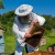 Beekeeper getting ready to collect honey.  Photo by Kirsanovv at Dreamstime.com