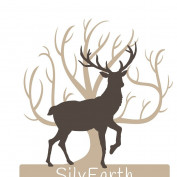 silvearth profile image