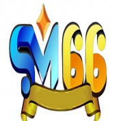 sm66run profile image