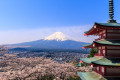 Japan Hands-on Lesson Plan for Children: Origami, Samurais, & Green Tea