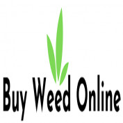 buyweedonlinecc profile image