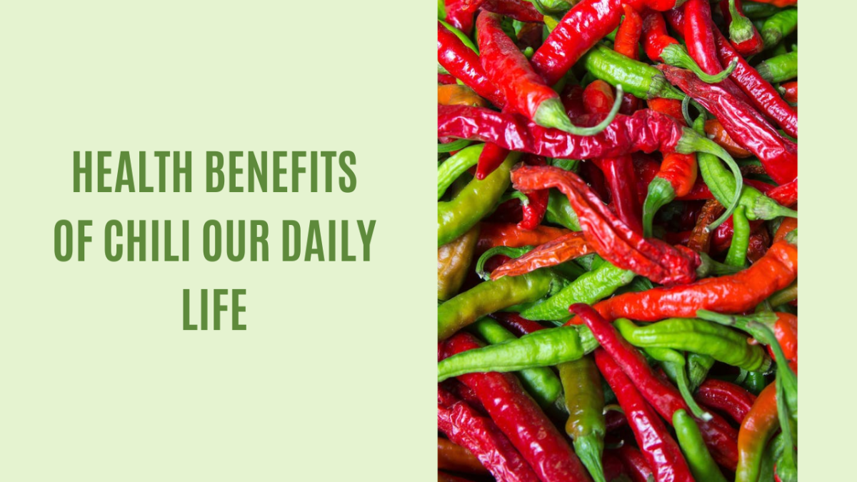 Top 13 Health Benefits of Chili Our Daily Life