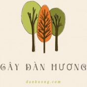 caydanhuong profile image
