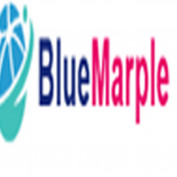 bluemarplewebdesign profile image