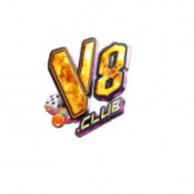 v8haytop profile image