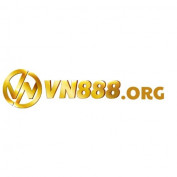 vn8881 profile image