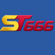 st666vnorg profile image