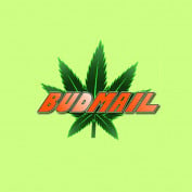 budmail420 profile image