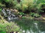HubPages profile picture for @landscaping