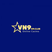 vn9vip profile image