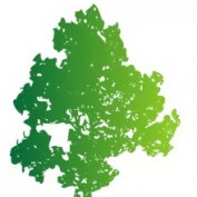 Tree Felling Edenvale profile image
