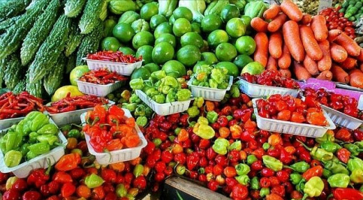 How to Grow Vegetables