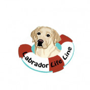 labradorlifeline profile image