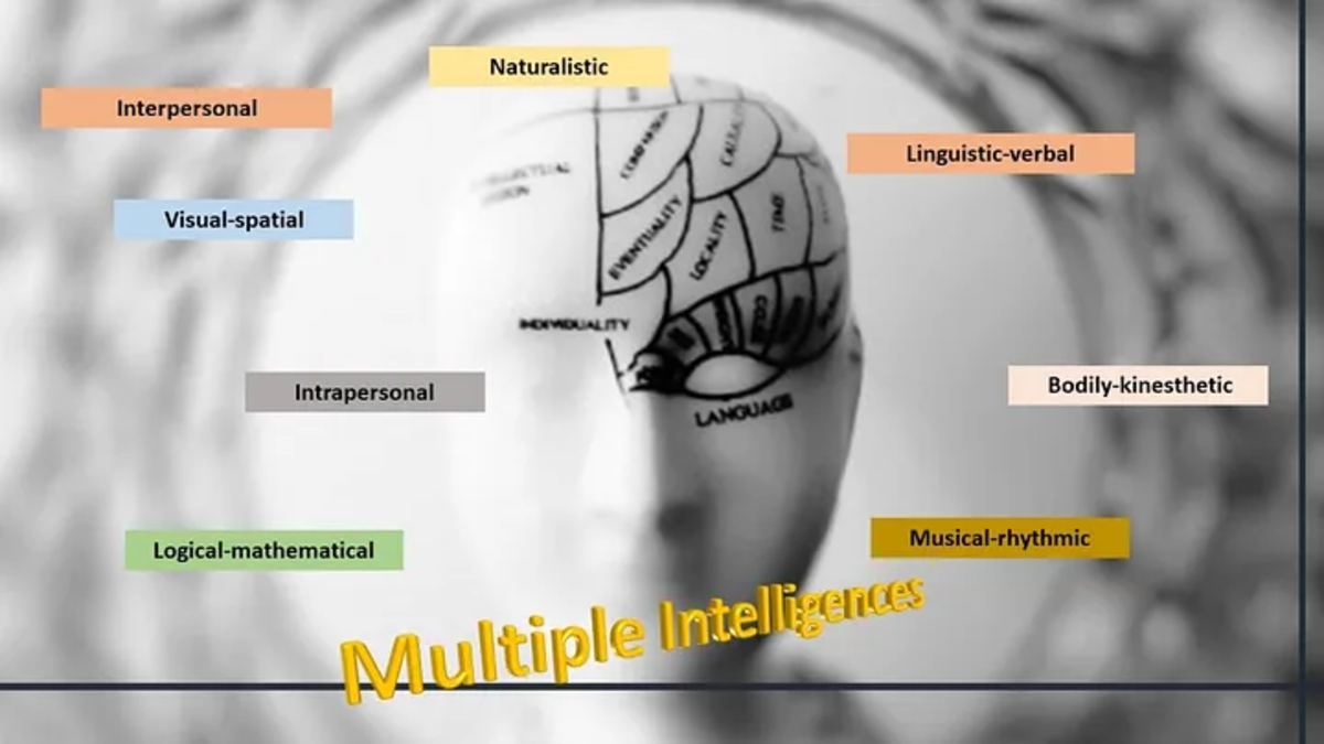 Multiple Intelligences: A Different Way to Understand How We Learn