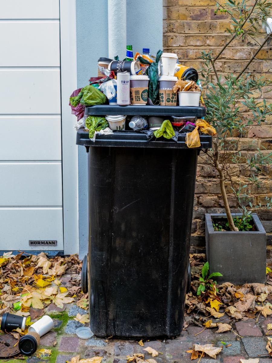 Trash Bin Cleaning: 5 Reasons Your Waste Bin Deserves Another Look