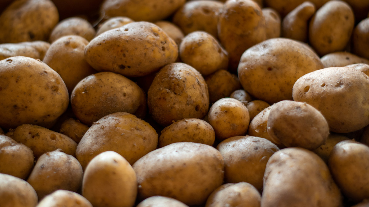 How to Successfully Grow Your Own Potatoes