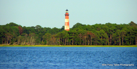 The beautiful Assateague Island Lighthouse as seen from Tom's Cove Park just across the water on Chincoteague Island. Photo by Windy Grace Mason.