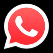 whatsappred profile image