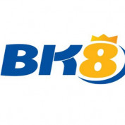 bk8vnvin profile image