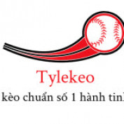 Tylekeo11 profile image