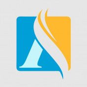 In An Anh profile image