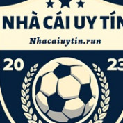 nhacaiuytinrun profile image