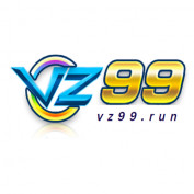 VZ99 RUN profile image