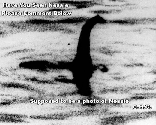 Nessie In Loch Ness