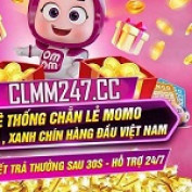webclmm247cc profile image