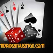 gamebaidoithuongx profile image