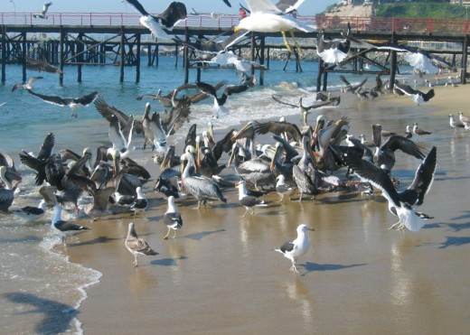 Valparaiso: a popular tourist destination.