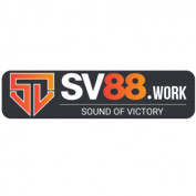 sv88work profile image