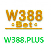 w388plus profile image