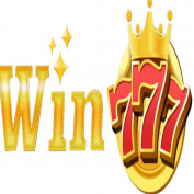 win777day profile image