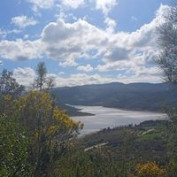 Iheb Selmi profile image