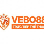 vebo1run profile image