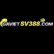 gavietsv388 profile image