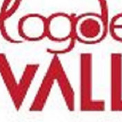 logodesignvalleyusa profile image