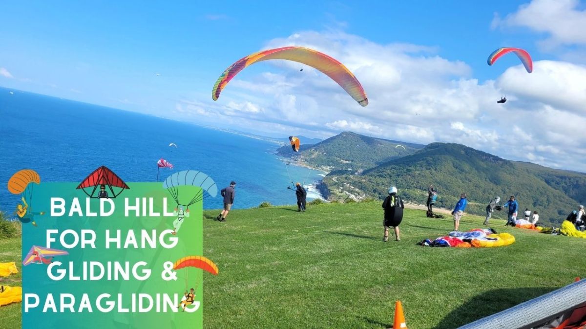 Discover the Thrill of Hang Gliding and Paragliding at Bald Hill Lookout, Australia