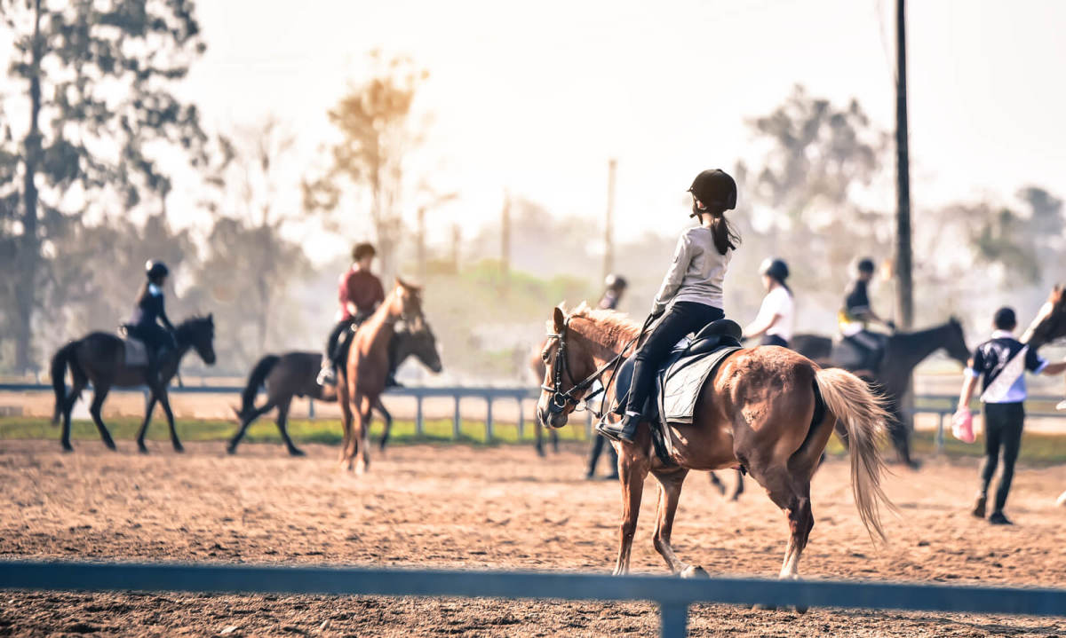 How to Get Your Horse Ready for Horse Riding Championships and Races