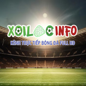 getbootstrapvn profile image