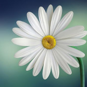 Agforyou profile image