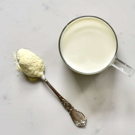 How to Make Powdered Milk at Home