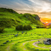 MoldingCustom Plastic Inj profile image