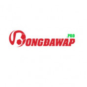 bongdawappro profile image