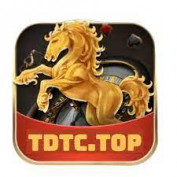 tdtcpro2023 profile image