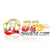 qh88sos profile image