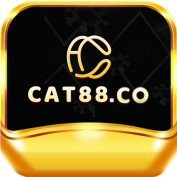 cat88co profile image