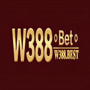 w388best profile image
